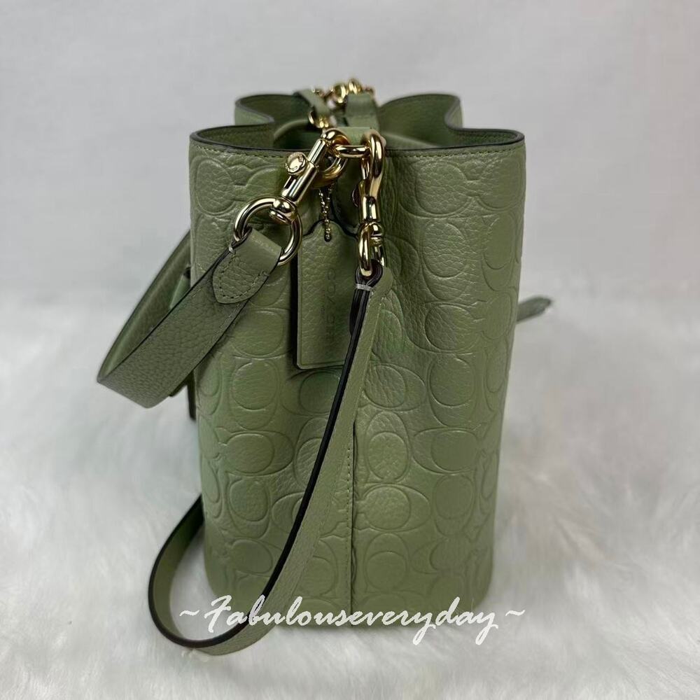 Coach Rowan Bucket Bag Crossbody In Signature Leather CEA96 Pistachio + Pouch - Picture 2 of 7